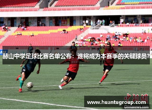 赫山中学足球比赛名单公布：谁将成为本赛季的关键球员？