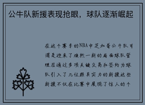 公牛队新援表现抢眼，球队逐渐崛起